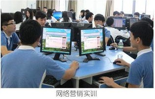 瑞典电子商务专业研究生