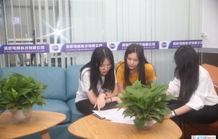 东莞电子商务专业怎么样