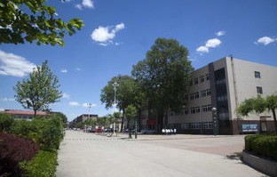 临平学校有电子商务专业