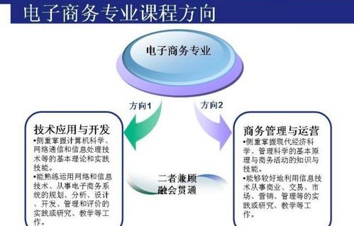 电子商务考研的专业课
