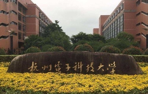 杭电有电子商务专业吗