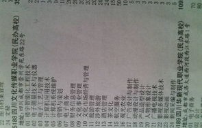 电子商务专业维语怎么说