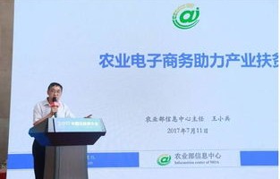 电子商务助农是什么专业