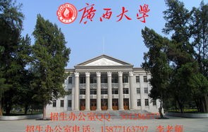 辽宁省专科电子商务专业