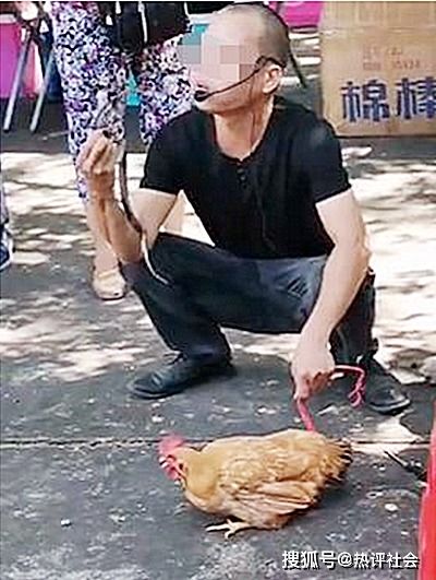 官方通报三亚女游客疑被蛇咬伤身亡