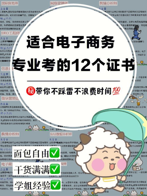 电子商务能考研的专业有