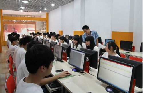 电子商务专业大专实习干嘛
